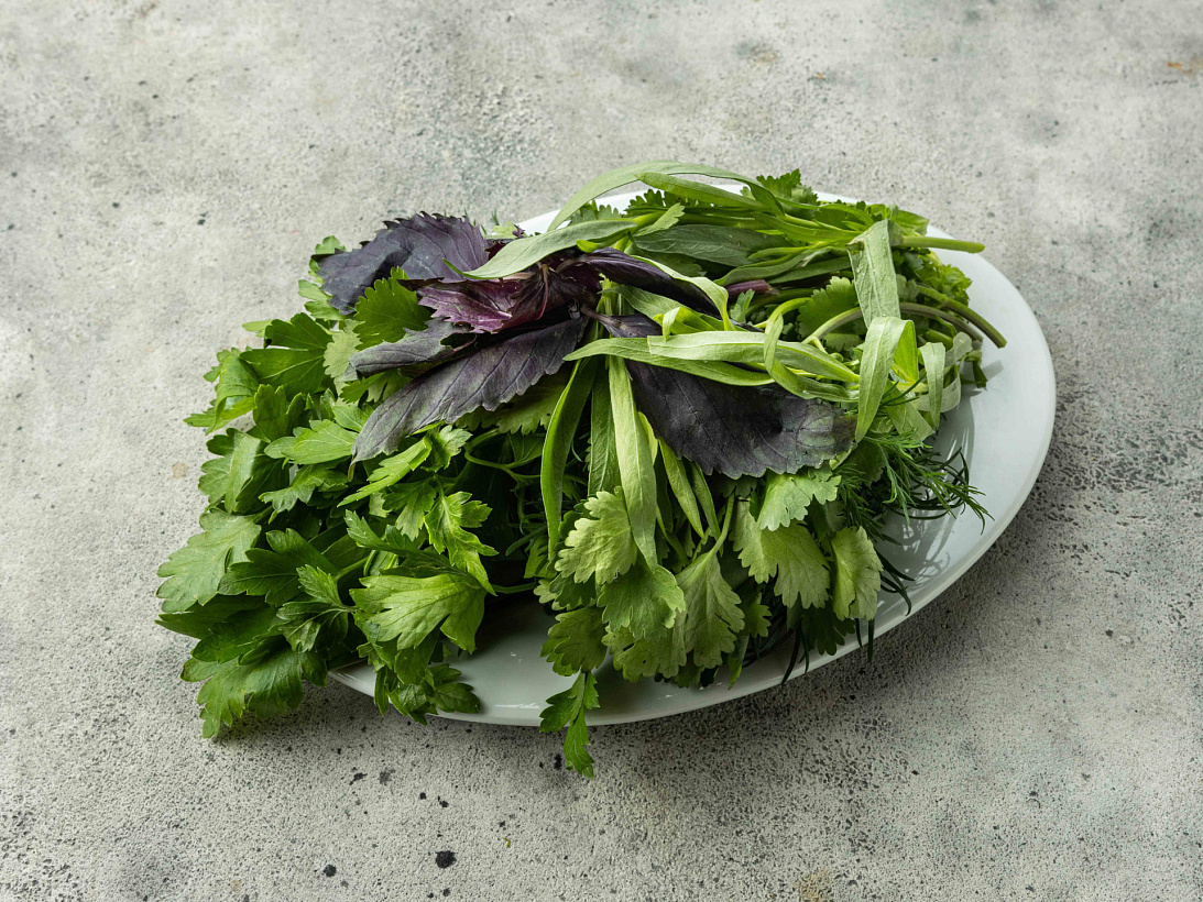 Свежая зелень